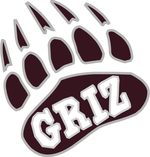 Montana Grizzlies 1996-Pres Alternate Logo 01 iron on paper